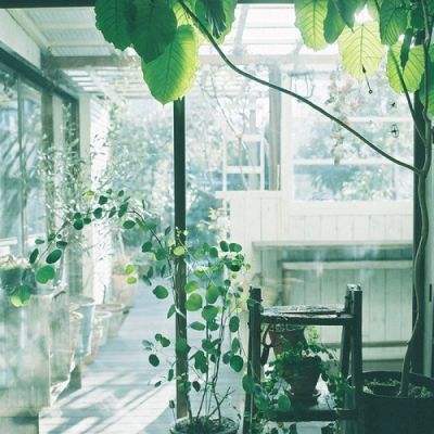 开元ky7818老版本手机app下载